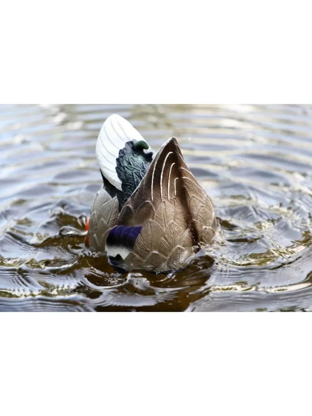 Realistic Mallard Duck Decoy with Butt Up Rippler for Hunting & Outdoor Fun